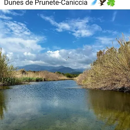 Casa Piana アパート セルヴィオーヌ