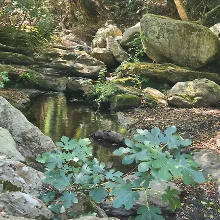 Casa Piana アパート